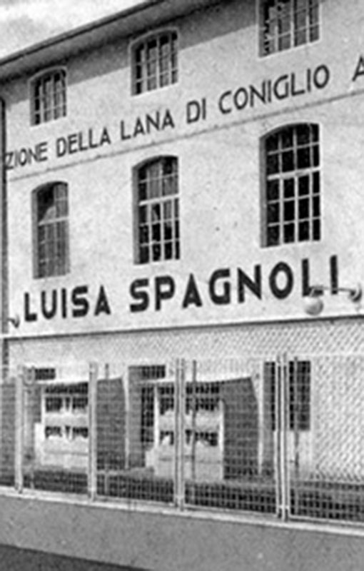 Angora Spagnoli