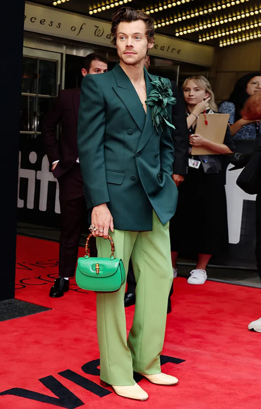 Гарри Стайлс в зеленом образе