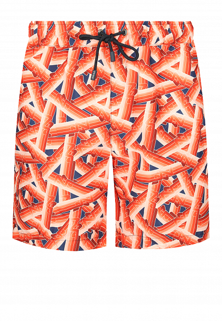 Плавательные шорты с логотипированным принтом ZILLI