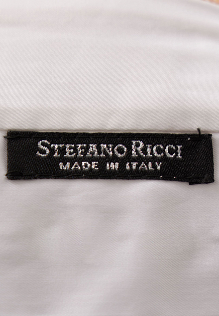 Брюки STEFANO RICCI 170284