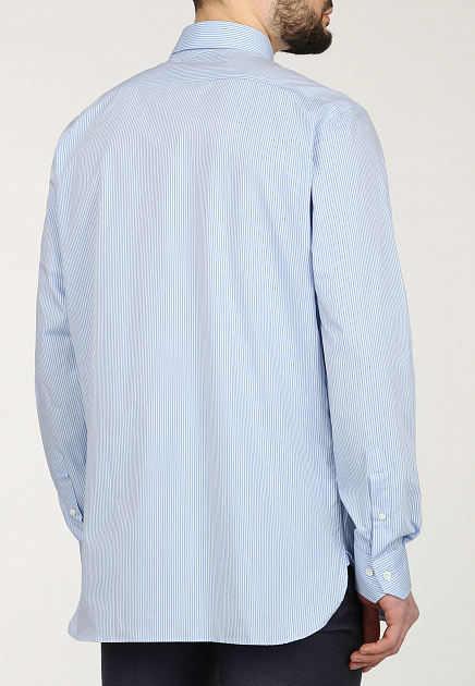 Рубашка PAL ZILERI  - Хлопок - цвет голубой