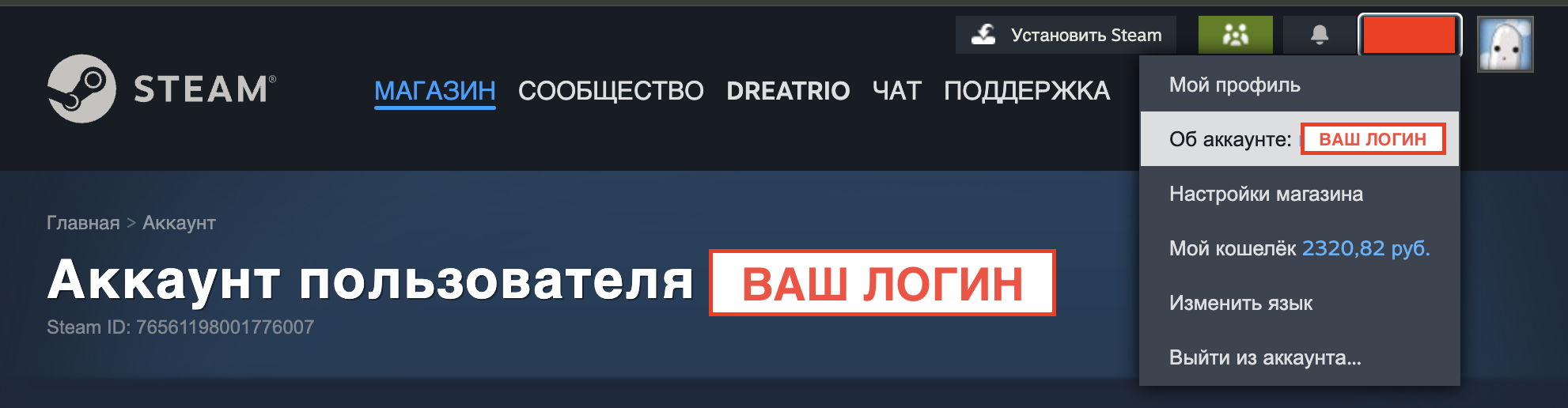 Инструкция: как найти логин Steam