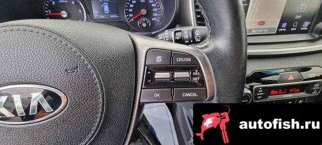 similar cars