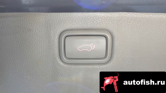 similar cars