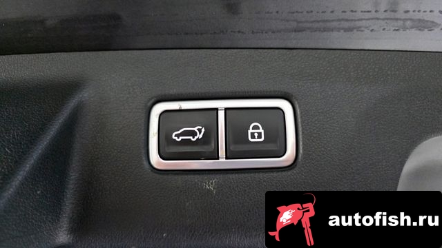 similar cars