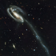 the Tadpole Galaxy