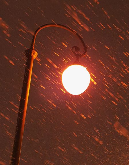 The warm city lamp and rapidly falling snow.