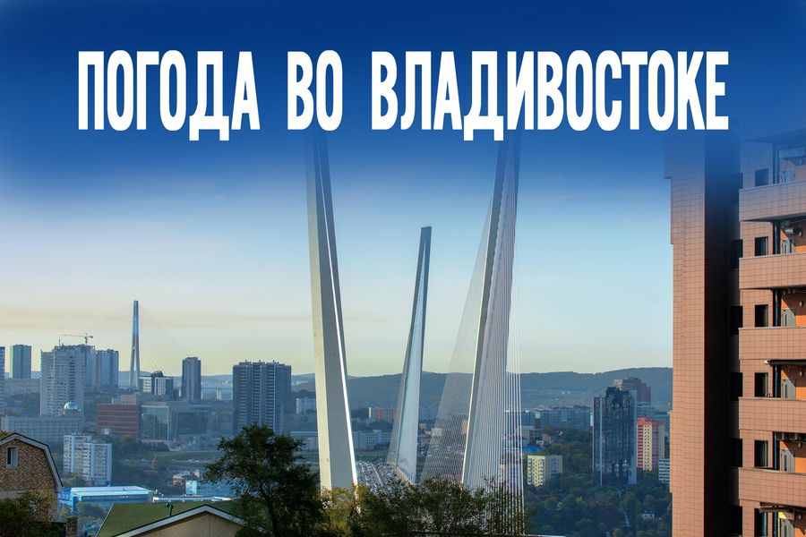 Сегодня ветер развернётся на 180 градусов. Как это изменит погоду в регионе