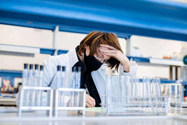 ИИ сможет чувствовать запахи. Как университетская разработка перевернёт современную медицину?