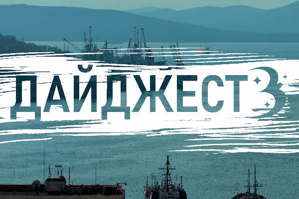 Только хорошие новости: тигр-пешеход, «неубиваемая» скамейка и самый большой каток Владивостока