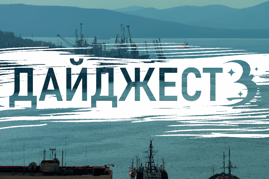 Только хорошие новости: тигр-пешеход, «неубиваемая» скамейка и самый большой каток Владивостока