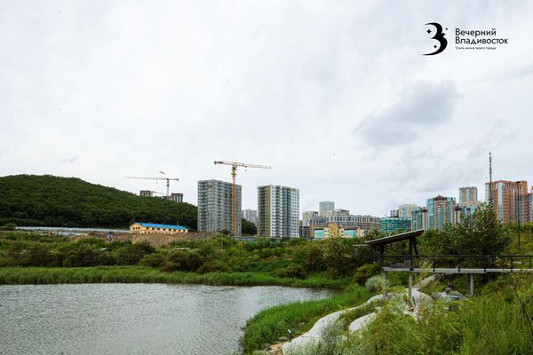 «Синдром Долиной» добрался до Владивостока. Как не потерять квартиру и деньги в одной сделке