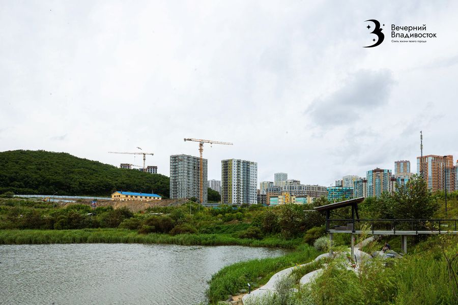 «Синдром Долиной» добрался до Владивостока. Как не потерять квартиру и деньги в одной сделке