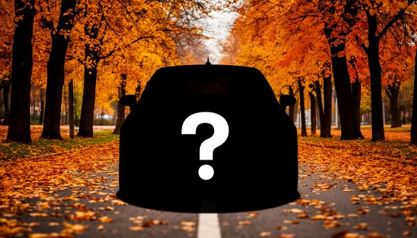 Стали известны самые популярные модели с пробегом в Приморье