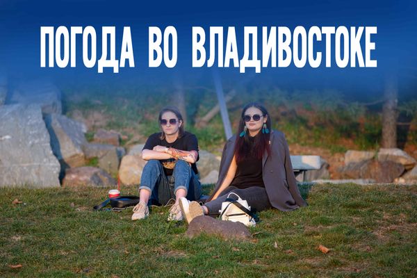 Почему чайки низко летят? И другие приметы, которым не стоит доверять сегодня
