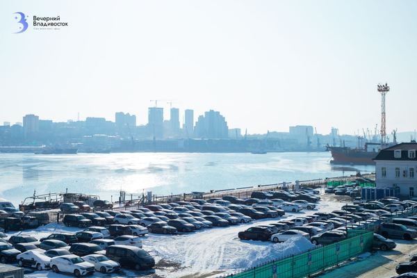 Стало известно, на сколько упали продажи авто после повышения утильсбора