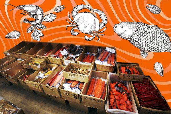 От причала до ресторана. Где раздобыть самые свежие морепродукты в городе и не разориться?