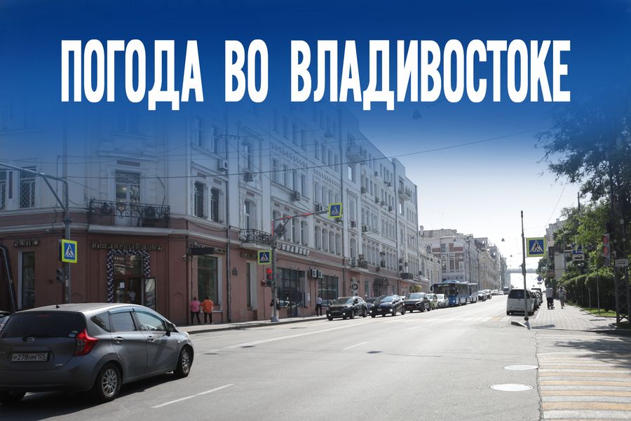 Тайфун, солнце или штормовой ветер. Раскрываем главный погодный сценарий на понедельник