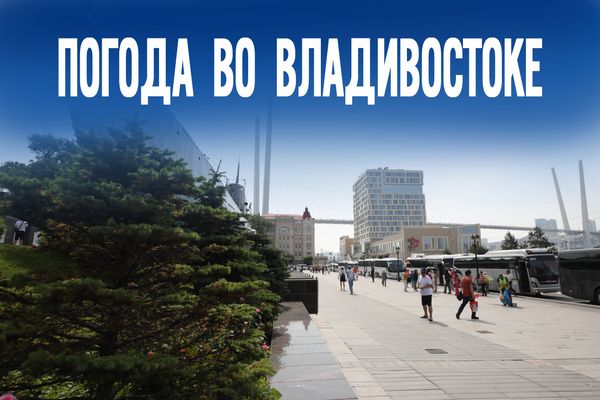 Оправдается ли штормовое перед выходными? Прогноз на пятницу во Владивостоке и Приморье