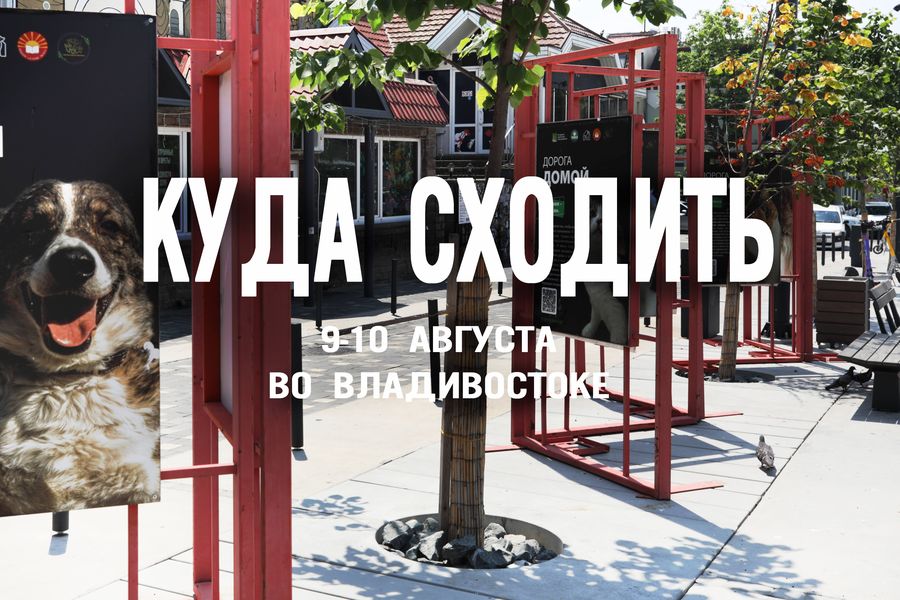 SUP-фест, стендап и GUF: куда сходить во Владивостоке 9-10 августа