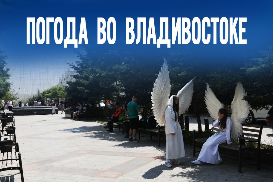 Погодная лотерея – что выпало Приморью сегодня?
