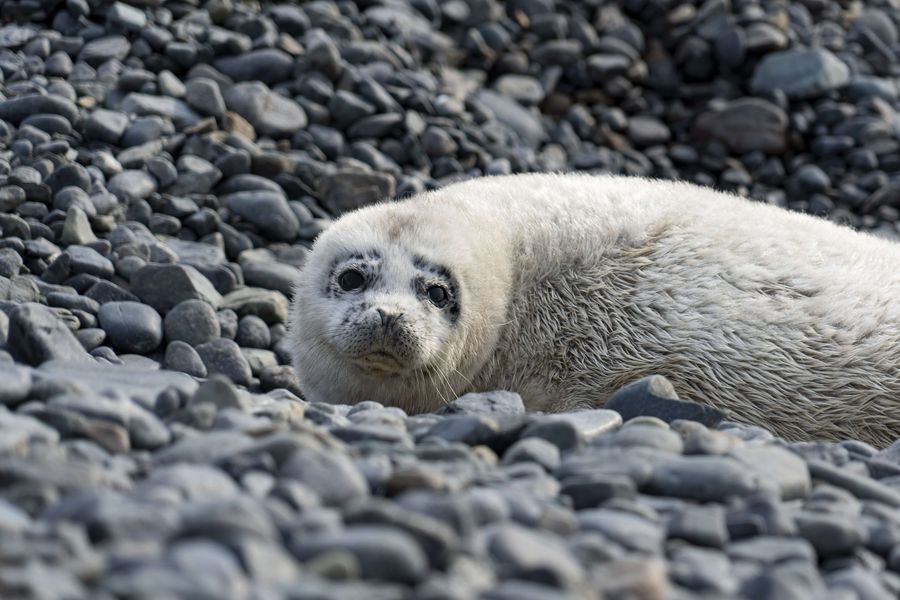Ученые зафиксировали первое важное событие 2026 года в заповеднике
