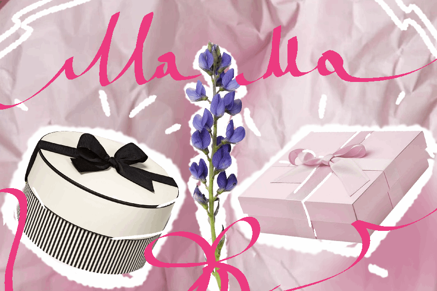 Главный подарок ко Дню матери назвали жители Владивостока (Видео)