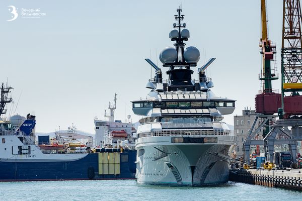 Кто в Приморье спит спокойно? Составлен рейтинг уверенных в трудоустройстве специалистов