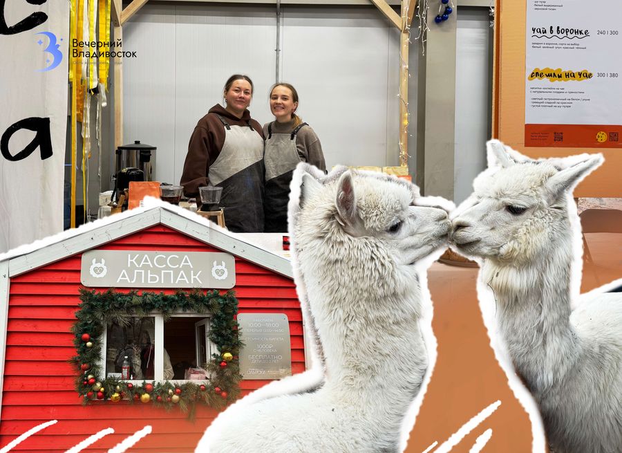 Новогодний городок в непривычном месте. Где погладить альпаку, выпить какао и попасть в яблочко?