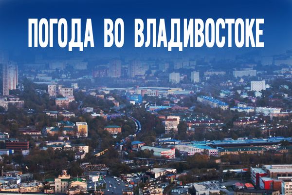 Солнце в Приморье сегодня: «Поймай меня, если сможешь»