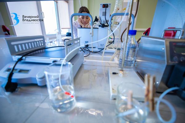 Обязательная отработка для всех. С 2026 года платников в медицине ждет новое правило