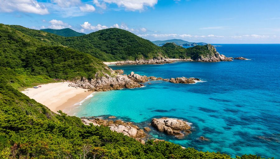 Найден «живой» свидетель эпохи динозавров. Что скрывает самый южный остров страны?