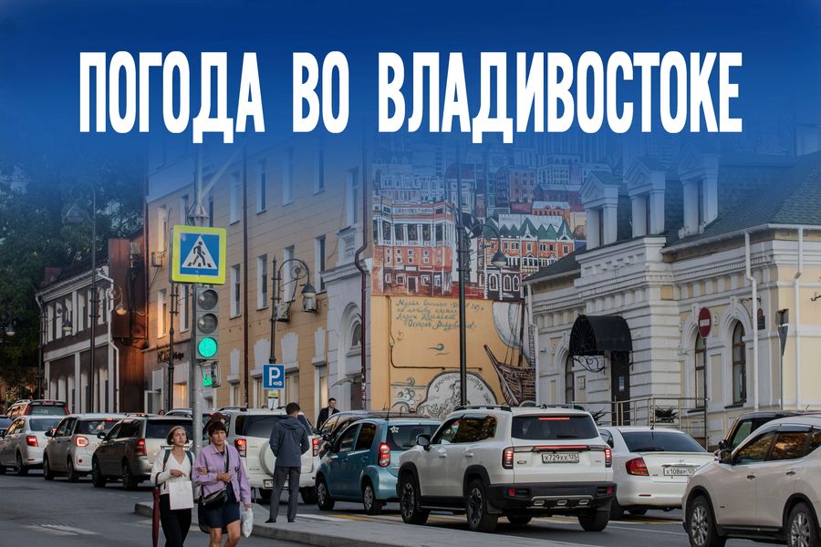 Тихо. Идёт дождь — что приготовила погода Владивостоку сегодня?
