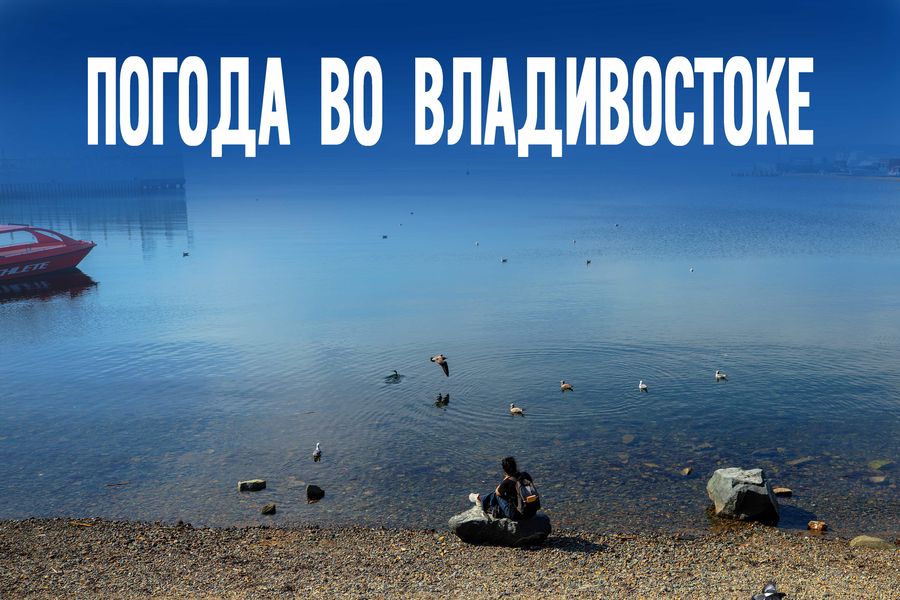 Не пропустите короткое затишье стихии. Что ждёт Приморье в начале недели?