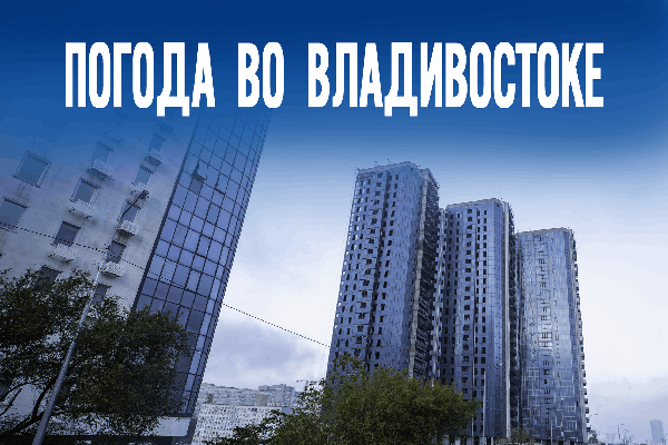 Без осадков и с солнцем: каким будет предновогодний понедельник в крае