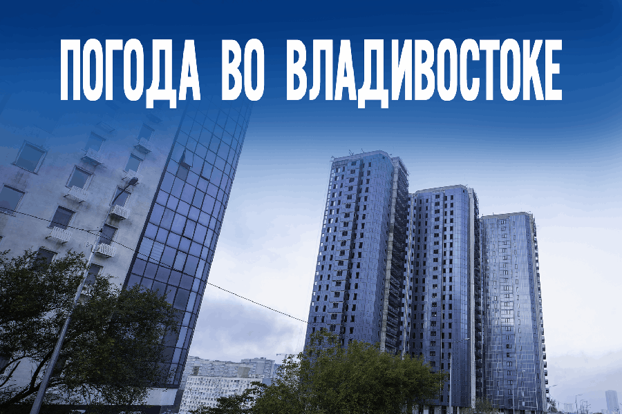 Без осадков и с солнцем: каким будет предновогодний понедельник в крае