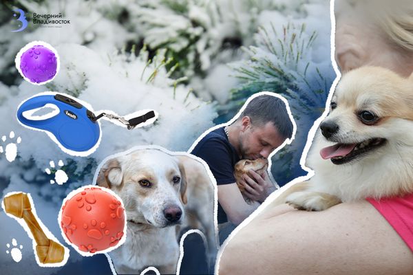 Собака вас терпит: 5 привычек, которые точно бесят вашего питомца