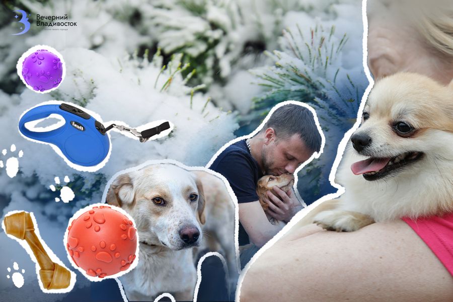 Собака вас терпит: 5 привычек, которые точно бесят вашего питомца