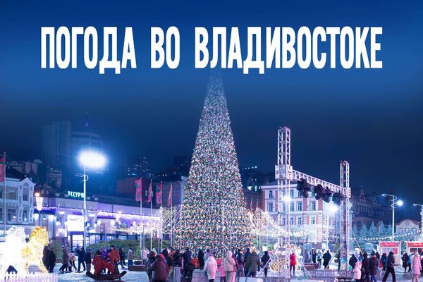 Что скрывает ясное небо 14 января?