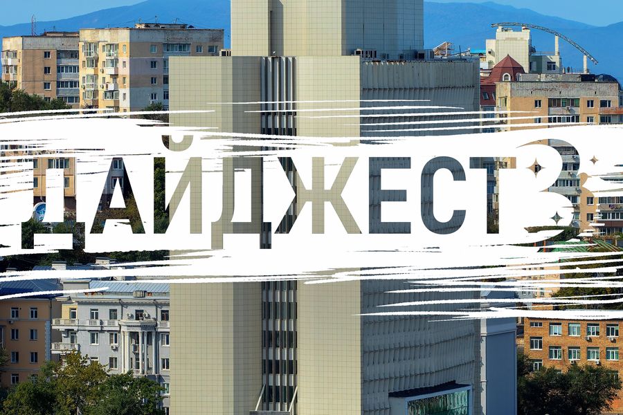 Найди хозяина городских поросят. Владивосток ищет ответы в детективной истории