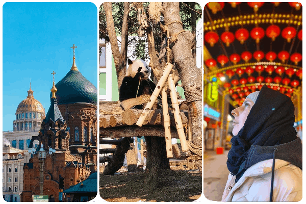 Обкатка безвизом: поездка «дикарями» в «самый русский город Китая» – впечатления, цены и маршрут