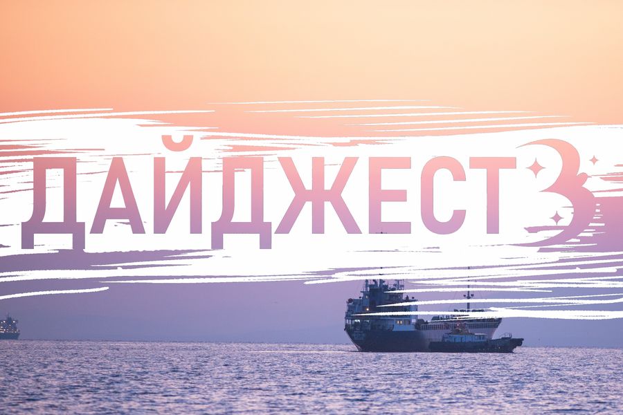 Хряк на поводке в городе, пёс-уборщик и победа в олимпиаде – что хорошего произошло во Владивостоке на этой неделе?