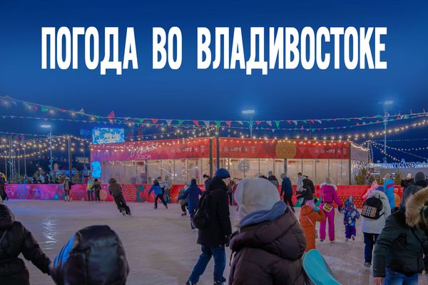 Крепкий мороз и северный ветер: какая погода ждет Приморье в четверг