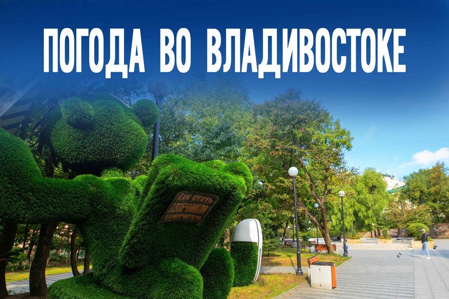 Ветер до 10 м/с и не только. Главное о погоде в Приморье на четверг