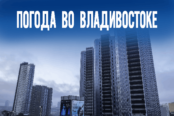 Порывы ветра до 11 м/с и -14°C: что ждет Приморский край 25 декабря?