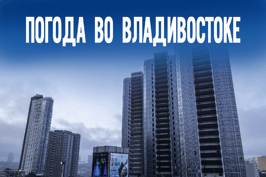 Порывы ветра до 11 м/с и -14°C: что ждет Приморский край 25 декабря?