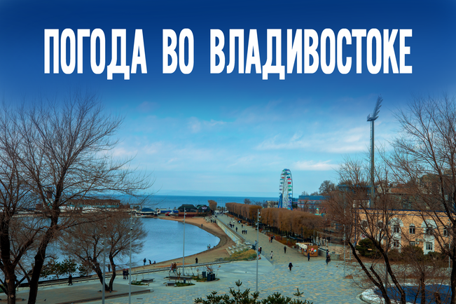 Зимний сценарий для Приморья: как изменится погода сегодня