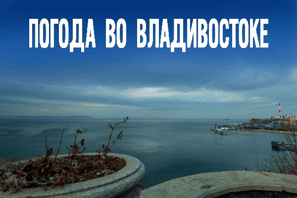 Во Владивостоке грядет морозный сюрприз. Какой будет погода 9 декабря?