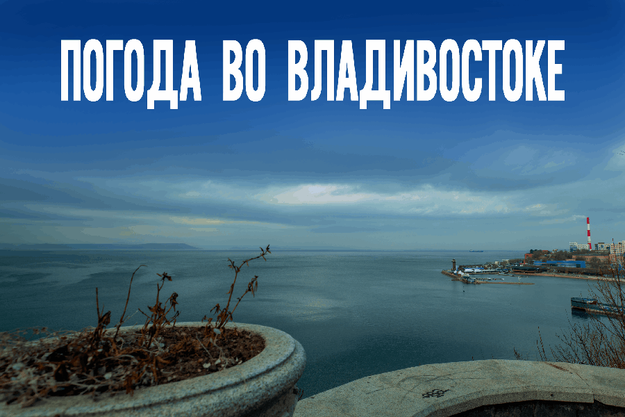 Во Владивостоке грядет морозный сюрприз. Какой будет погода 9 декабря?