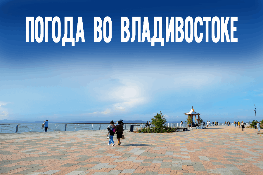 Редкая удача для ноября. Чем удивит приморцев погода в этот вторник